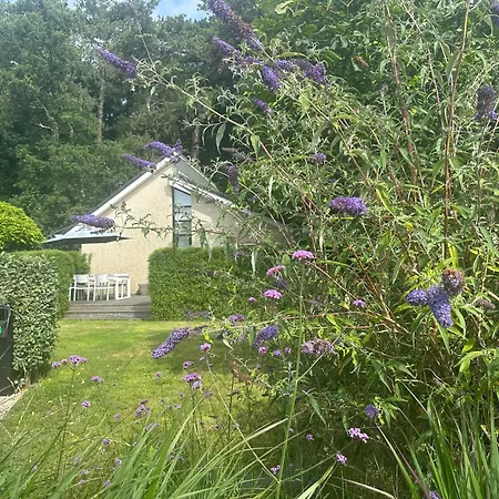 Vakantiehuis 8atsea Deluxe Dune Schoorl